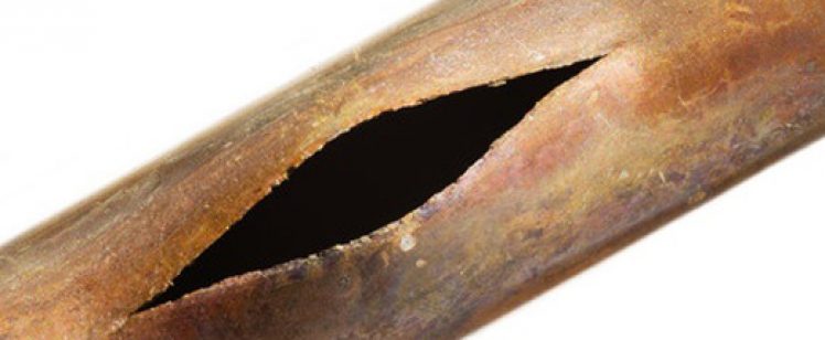 Protégete: no te quedes helado