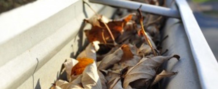 Llega el Otoño: es el momento de limpiar tus canalones
