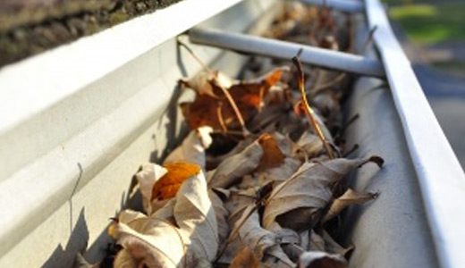 Llega el Otoño: es el momento de limpiar tus canalones