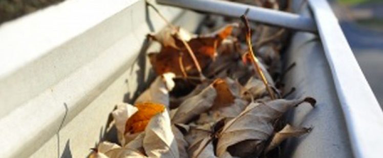 Llega el Otoño: es el momento de limpiar tus canalones